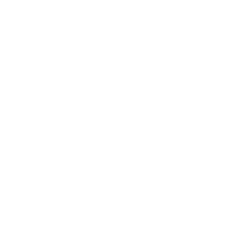 VIOLET LOTUS GROUP